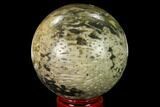 Polished Petrified Palmwood (Palmoxylon) Sphere #167624-1